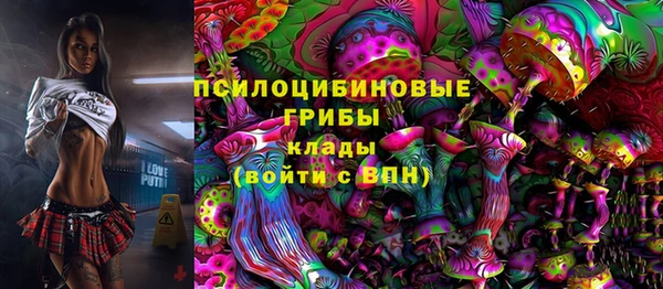 apvp Балабаново